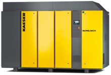 Винтовой компрессор Kaeser DSG 220-2 8 RD