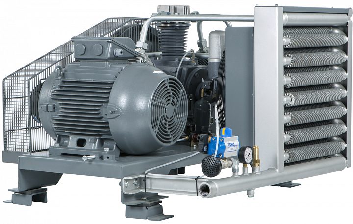 Поршневой компрессор Dalgakiran DBK GP-30 13 (с пультом)